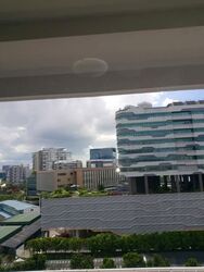 Blk 287D Jurong East Street 21 (Jurong East), HDB Executive #569707751